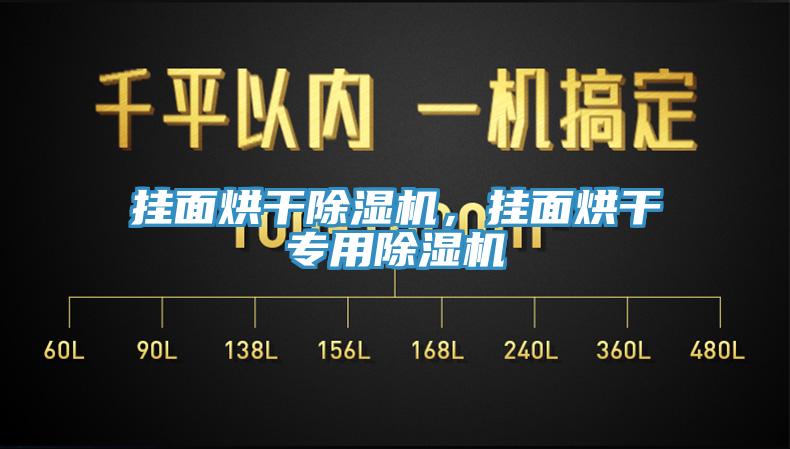 掛面烘干除濕機，掛面烘干專用除濕機