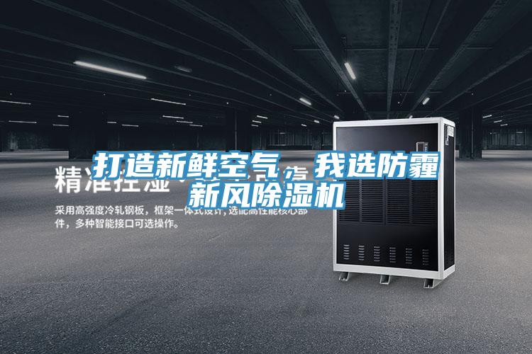 打造新鮮空氣，我選防霾新風(fēng)除濕機
