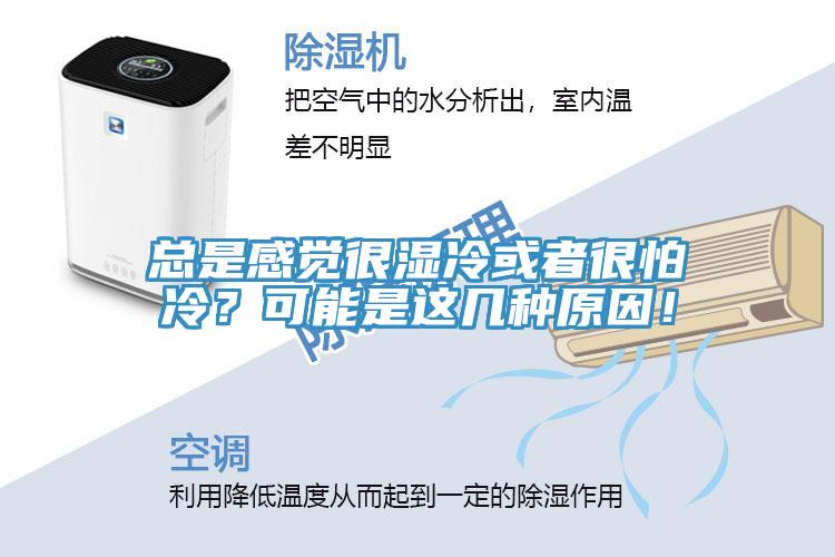 總是感覺很濕冷或者很怕冷？可能是這幾種原因！