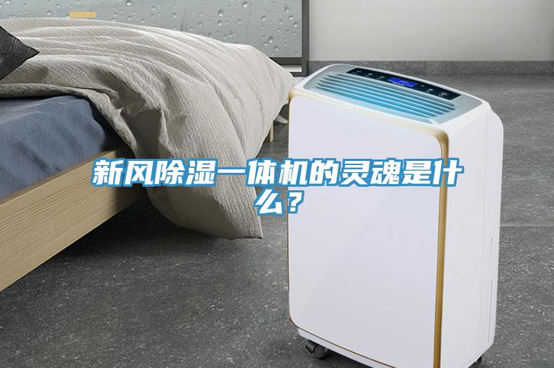 新風(fēng)除濕一體機(jī)的靈魂是什么？