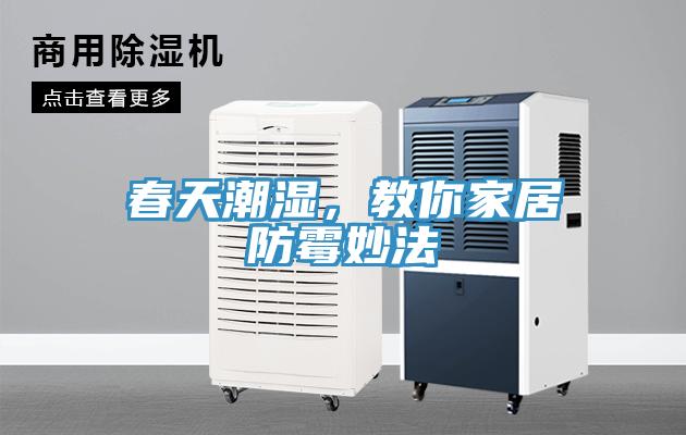 春天潮濕，教你家居防霉妙法