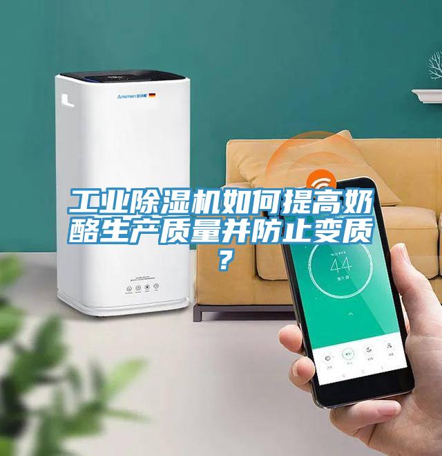 工業(yè)除濕機(jī)如何提高奶酪生產(chǎn)質(zhì)量并防止變質(zhì)？