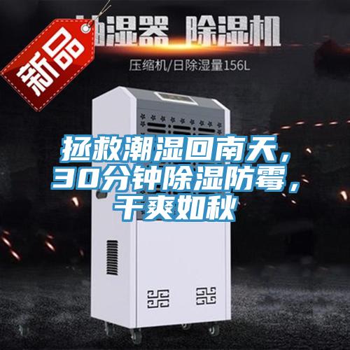 拯救潮濕回南天，30分鐘除濕防霉，干爽如秋