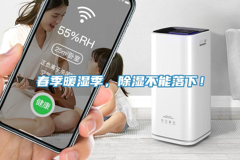 春季暖濕季，除濕不能落下！