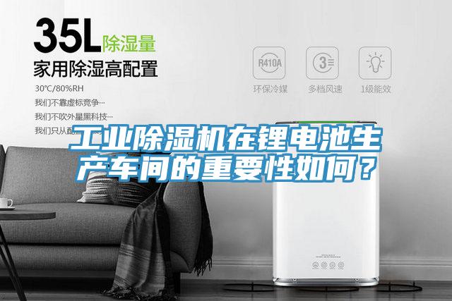 工業(yè)除濕機(jī)在鋰電池生產(chǎn)車間的重要性如何？