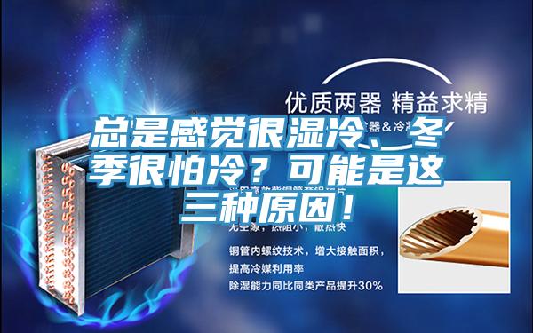總是感覺很濕冷、冬季很怕冷？可能是這三種原因！