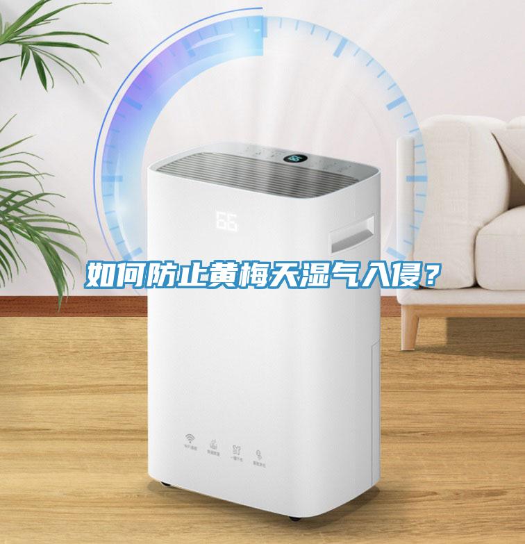 如何防止黃梅天濕氣入侵？
