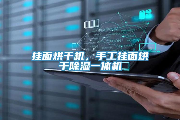 掛面烘干機，手工掛面烘干除濕一體機
