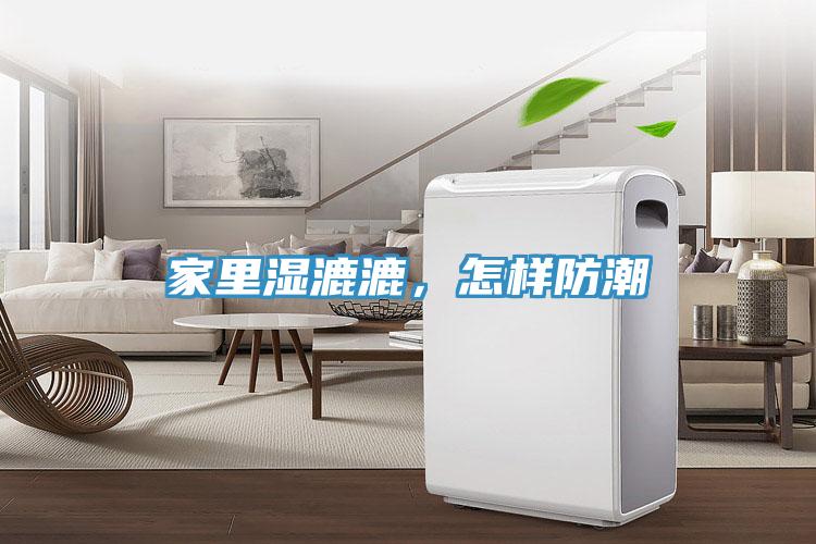 家里濕漉漉，怎樣防潮