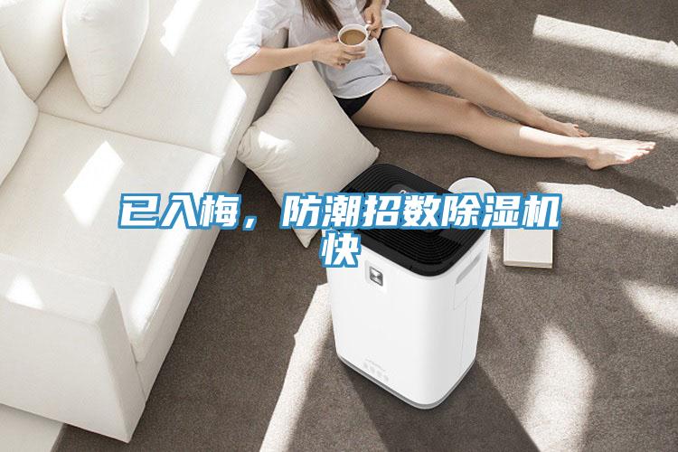 已入梅，防潮招數(shù)除濕機快