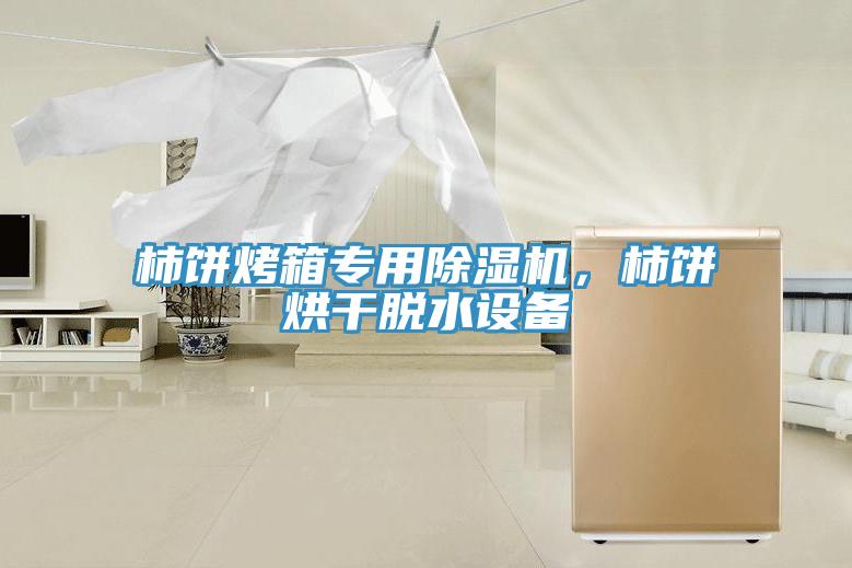 柿餅烤箱專用除濕機(jī)，柿餅烘干脫水設(shè)備