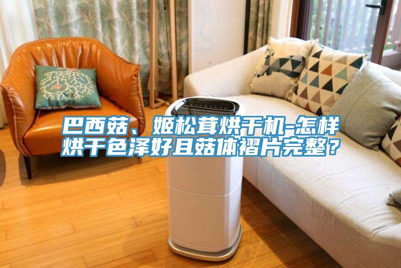 巴西菇、姬松茸烘干機-怎樣烘干色澤好且菇體褶片完整？