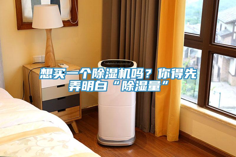 想買一個(gè)除濕機(jī)嗎？你得先弄明白“除濕量”
