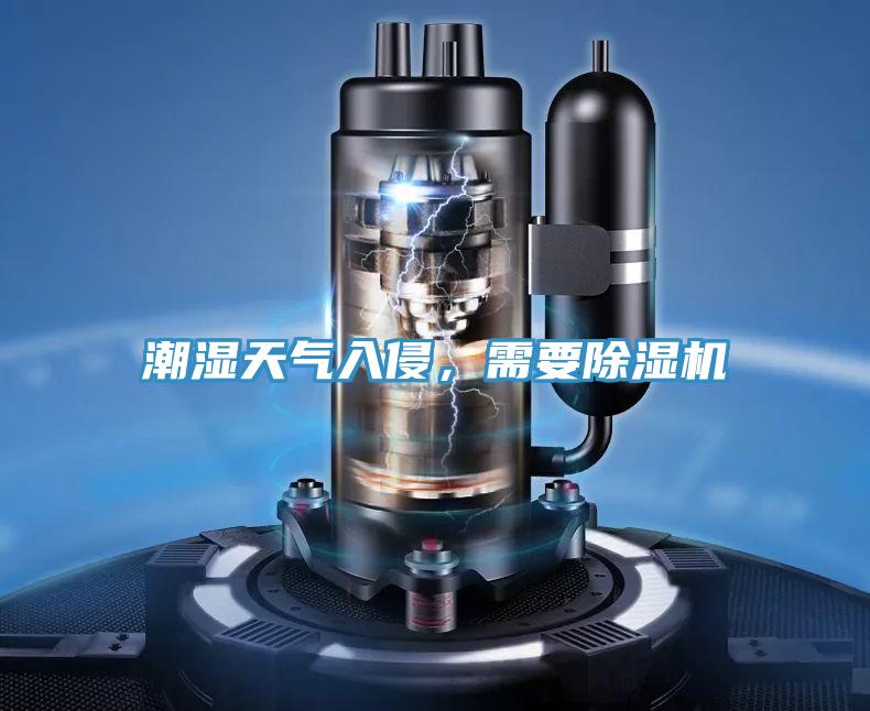 潮濕天氣入侵，需要除濕機