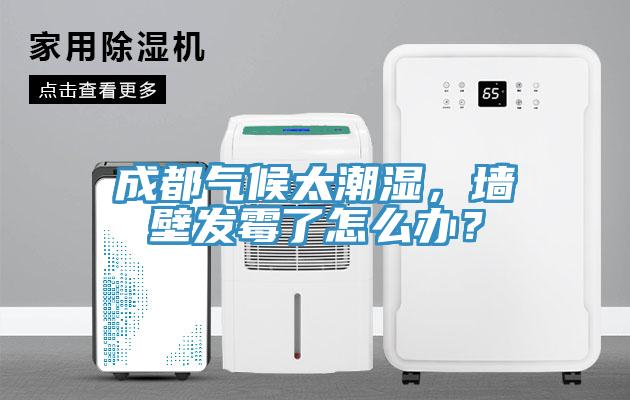 成都?xì)夂蛱睗?，墻壁發(fā)霉了怎么辦？