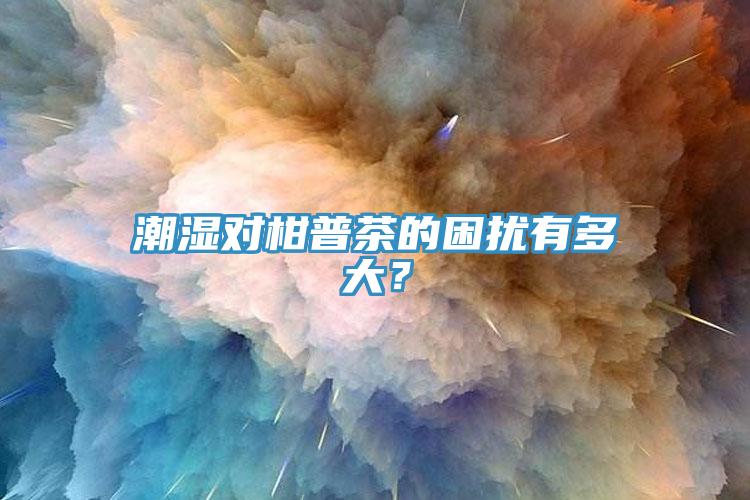 潮濕對柑普茶的困擾有多大？