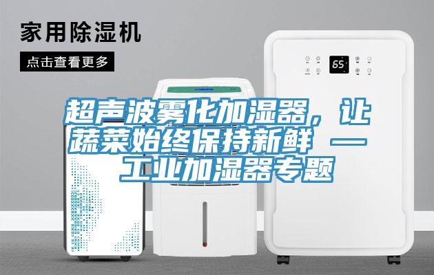 超聲波霧化加濕器，讓蔬菜始終保持新鮮 — 工業(yè)加濕器專題