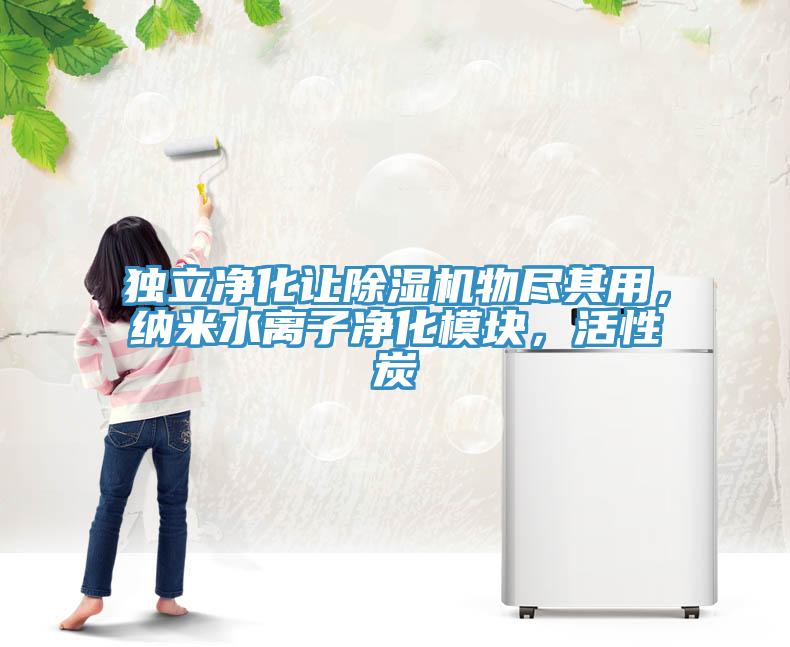 獨立凈化讓除濕機物盡其用，納米水離子凈化模塊，活性炭