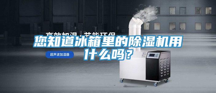 您知道冰箱里的除濕機用什么嗎？