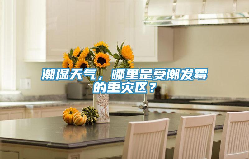 潮濕天氣，哪里是受潮發(fā)霉的重災(zāi)區(qū)？