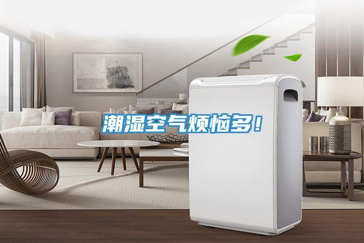 潮濕空氣煩惱多！