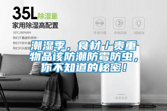 潮濕季，食材／貴重物品該防潮防霉防蟲，你不知道的秘密！