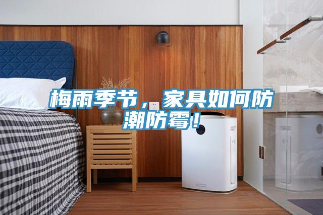 梅雨季節(jié)，家具如何防潮防霉！