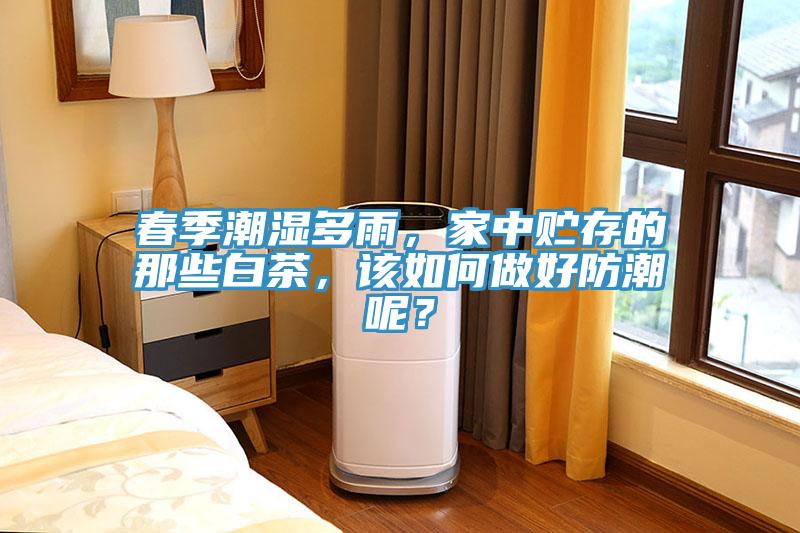 春季潮濕多雨，家中貯存的那些白茶，該如何做好防潮呢？