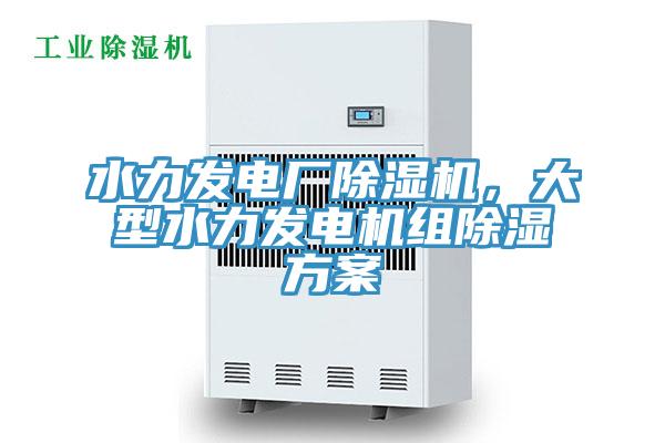 水力發(fā)電廠除濕機，大型水力發(fā)電機組除濕方案