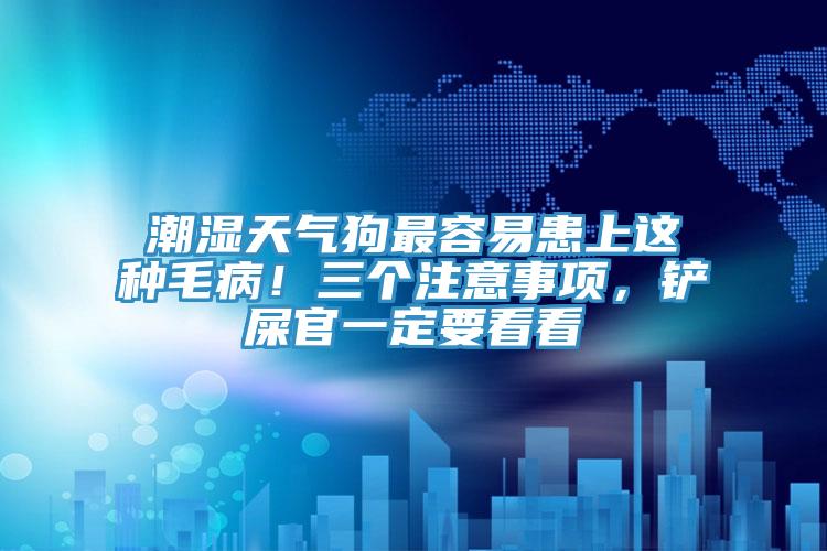 潮濕天氣狗最容易患上這種毛?。∪齻€注意事項，鏟屎官一定要看看