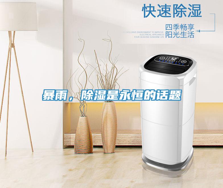 暴雨，除濕是永恒的話題