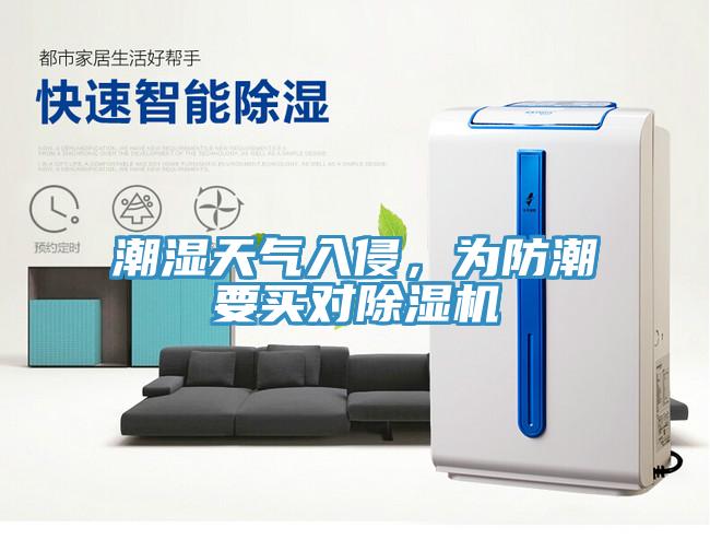潮濕天氣入侵，為防潮要買對除濕機