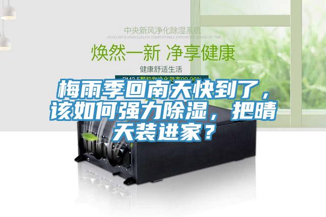 梅雨季回南天快到了，該如何強(qiáng)力除濕，把晴天裝進(jìn)家？