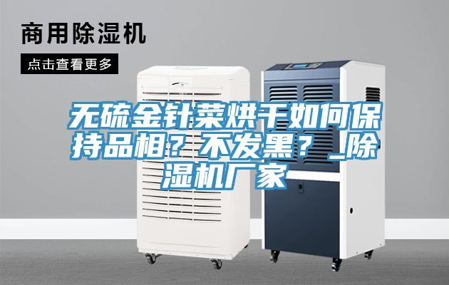 無硫金針菜烘干如何保持品相？不發(fā)黑？_除濕機廠家