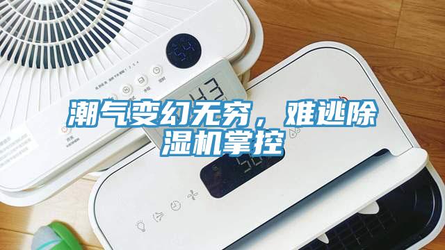 潮氣變幻無(wú)窮，難逃除濕機(jī)掌控