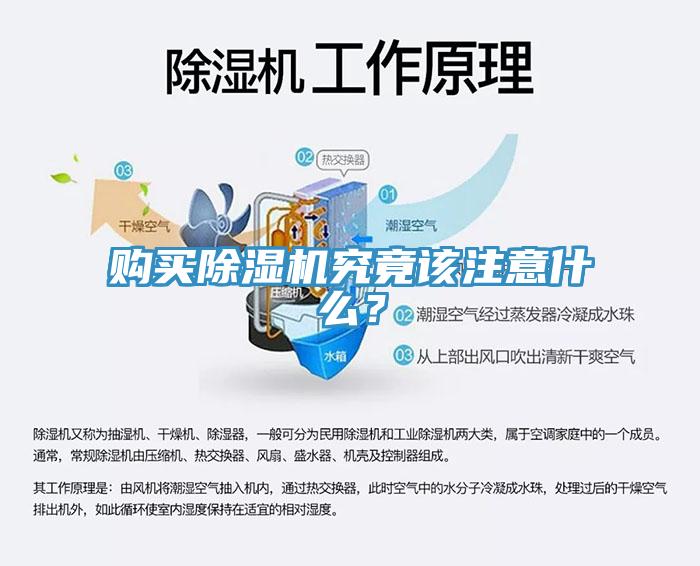 購買除濕機究竟該注意什么？
