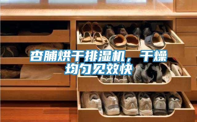 杏脯烘干排濕機(jī)，干燥均勻見效快