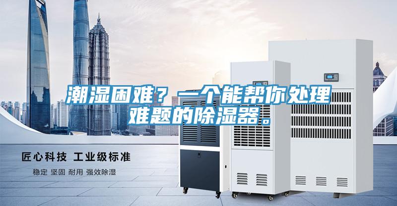 潮濕困難？一個能幫你處理難題的除濕器。