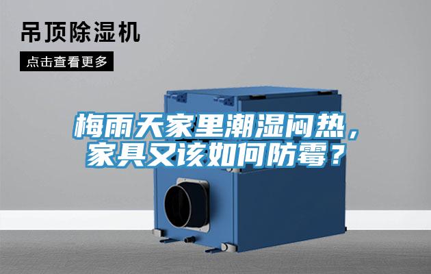 梅雨天家里潮濕悶熱，家具又該如何防霉？