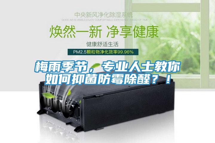 梅雨季節(jié)，專業(yè)人士教你如何抑菌防霉除醛？！