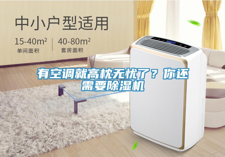 有空調(diào)就高枕無憂了？你還需要除濕機