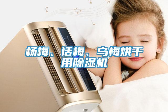 楊梅、話梅、烏梅烘干用除濕機(jī)