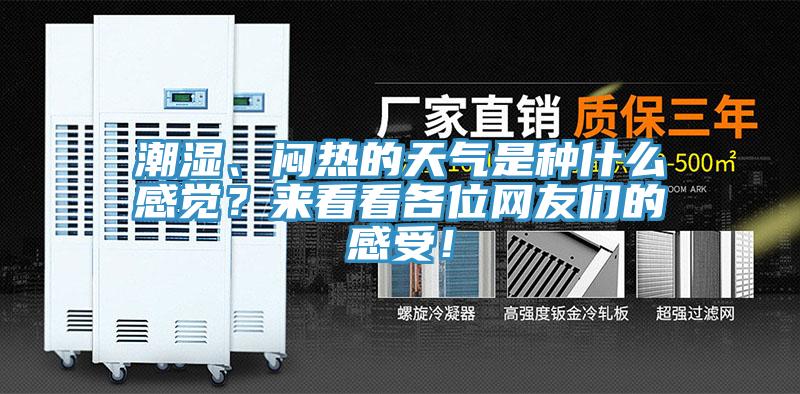 潮濕、悶熱的天氣是種什么感覺？來看看各位網(wǎng)友們的感受！