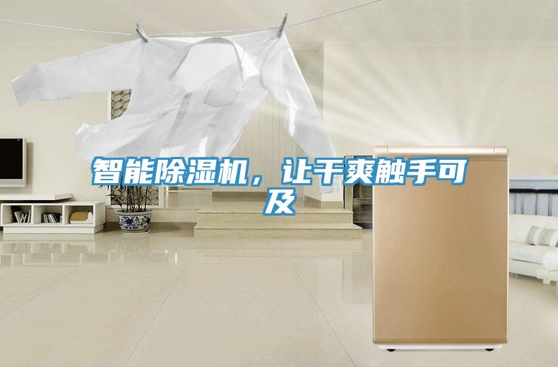 智能除濕機，讓干爽觸手可及