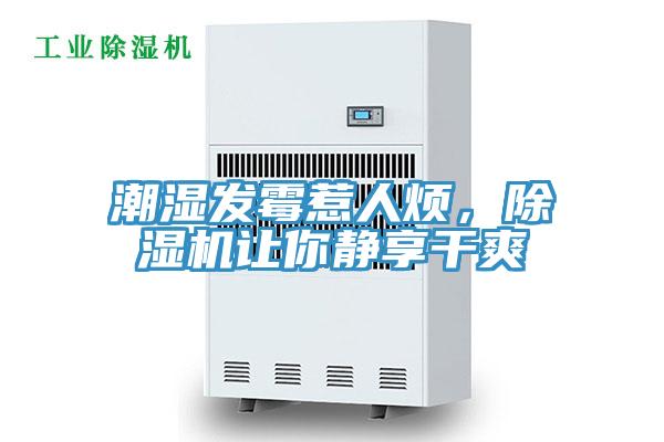 潮濕發(fā)霉惹人煩，除濕機(jī)讓你靜享干爽