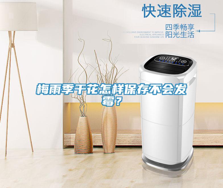 梅雨季干花怎樣保存不會(huì)發(fā)霉？