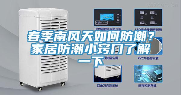 春季南風(fēng)天如何防潮？家居防潮小竅門了解一下