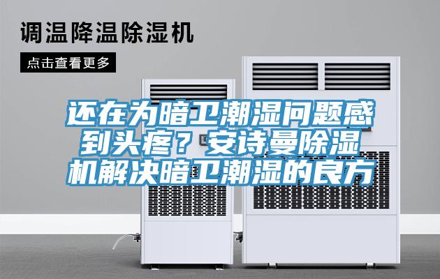 還在為暗衛(wèi)潮濕問題感到頭疼？安詩曼除濕機解決暗衛(wèi)潮濕的良方