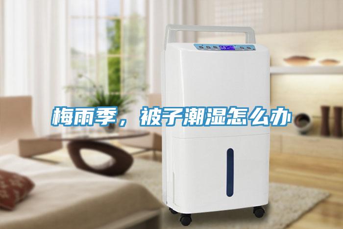 梅雨季，被子潮濕怎么辦