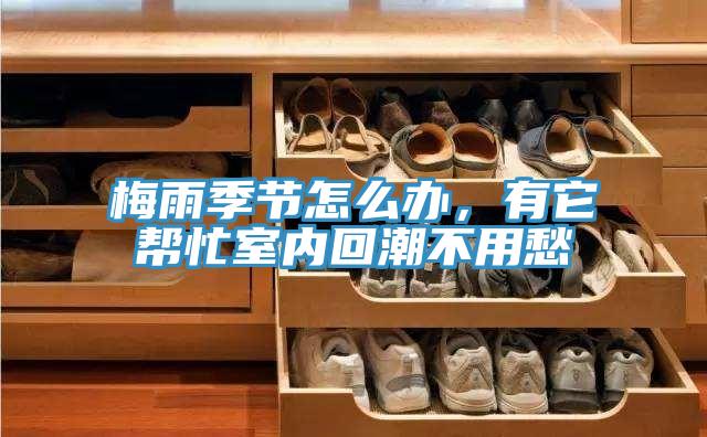 梅雨季節(jié)怎么辦，有它幫忙室內(nèi)回潮不用愁